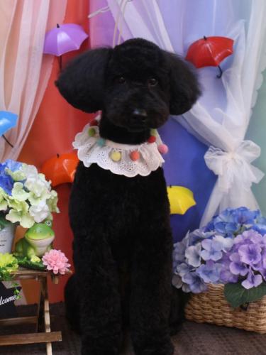 20230613アロちゃん